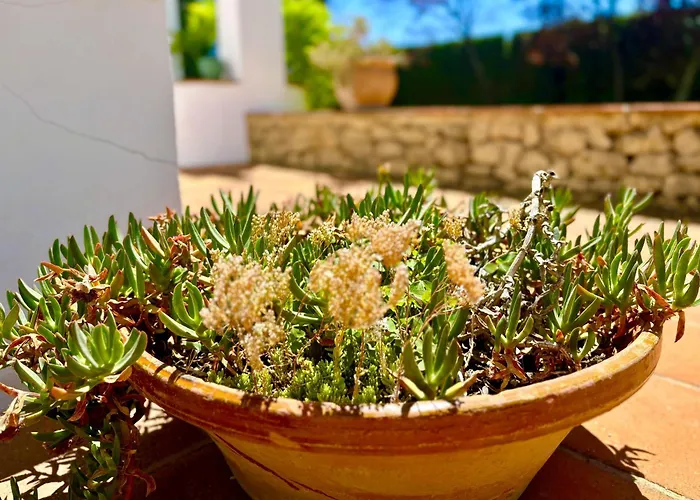 Maridadi 度假居 *