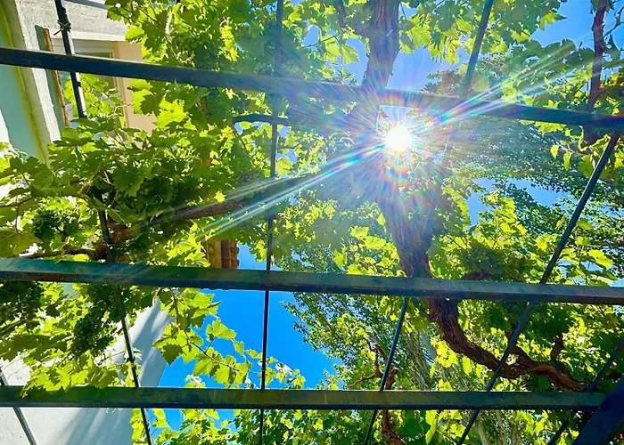 度假居 Maridadi *