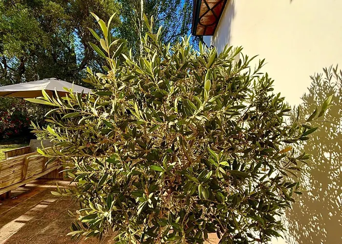 度假居 Maridadi 龙达