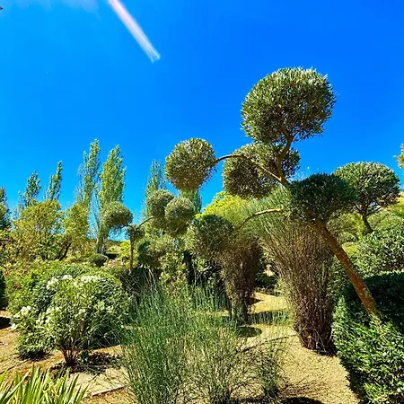 Maridadi Ronda