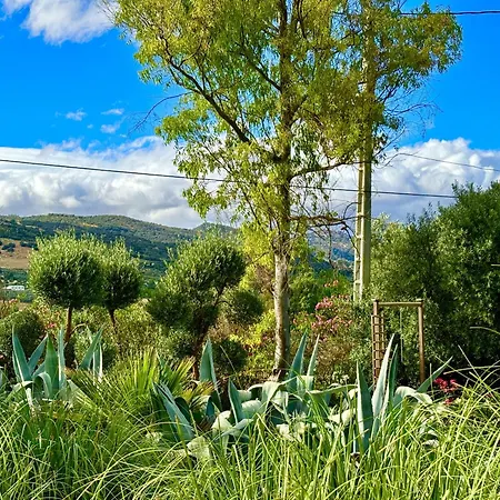 Maridadi Holiday home