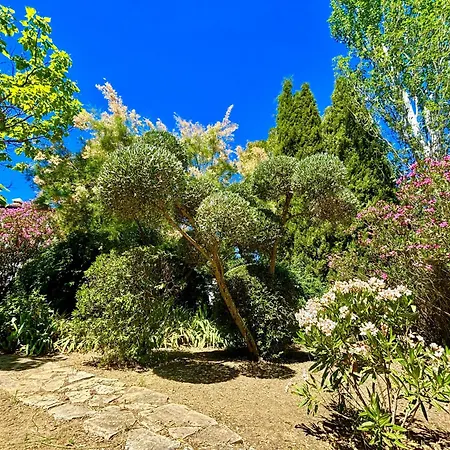Maridadi Ronda