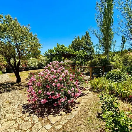 Maridadi Holiday home *
