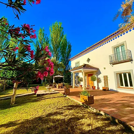 Maridadi * Ронда