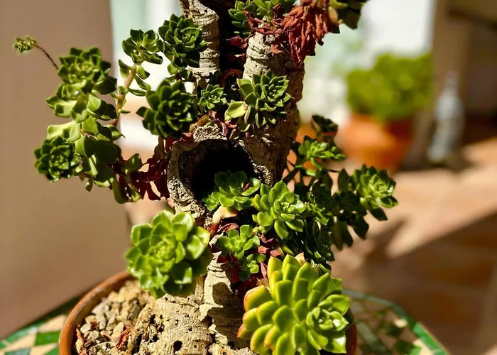 Maridadi Будинок відпочинку Ронда