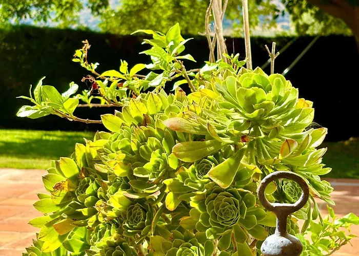 Будинок відпочинку Maridadi *