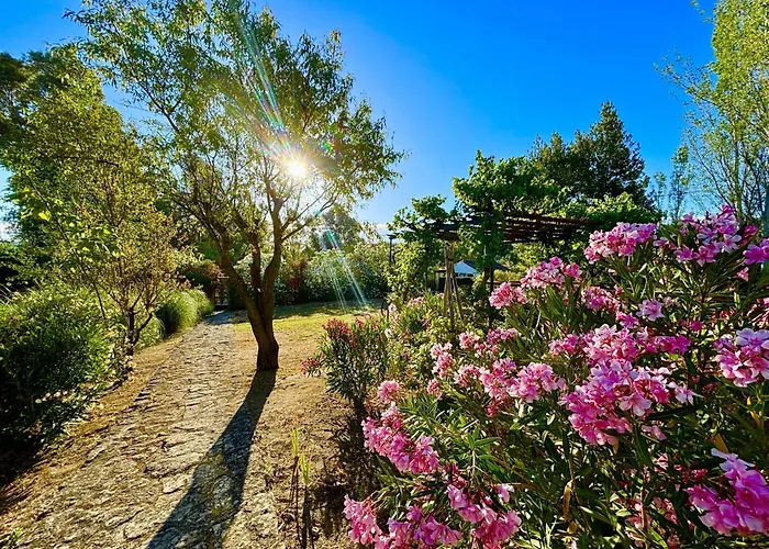 Будинок відпочинку Maridadi