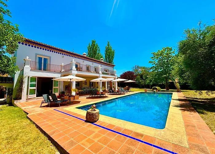 Maridadi * Ронда